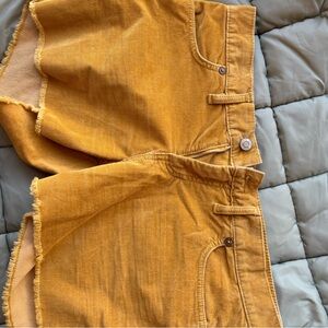 Stylish Mustard GAP Shorts